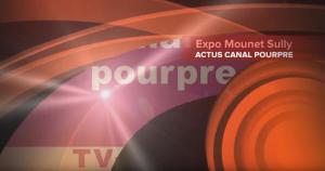 logo-canal-pourpre-c